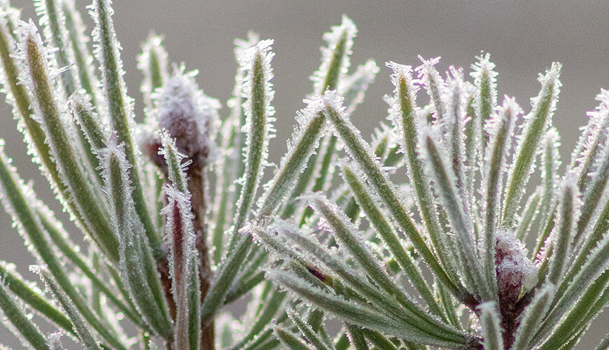 Actions for our environment